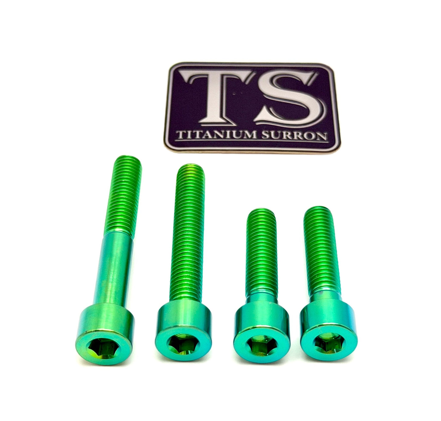 Titanium Motor Bolts - Surron Ultra Bee