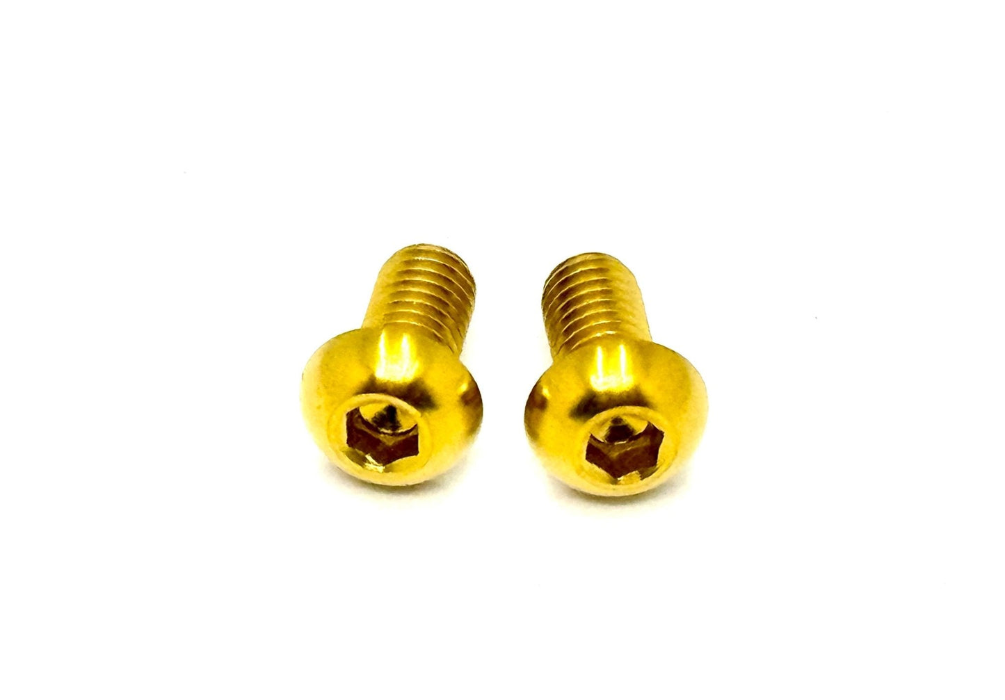 Titanium Motor Cover Bolts (Set of Two) Surron LBX, Segway, 79 Bike, E-Ride Pro